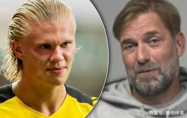 长期的阵容 长期的阵容